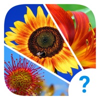 4 Clues: Word Search Game app icon - Games app for iPhone