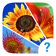 4 Clues: Word Search Game app icon - Games app for iPhone