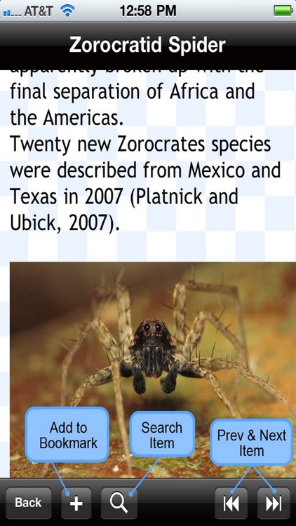 Spider Bible