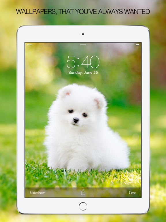 Screenshot #1 for Puppy Wallpapers – Cute Puppy Pictures & Images