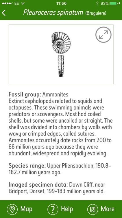 Fossil Explorer screenshot-4