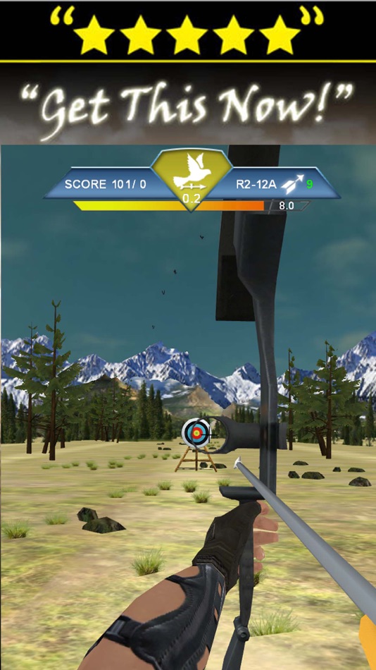 Bow And Arrow Champion - Archery Master Game - 1.0 - (iOS)