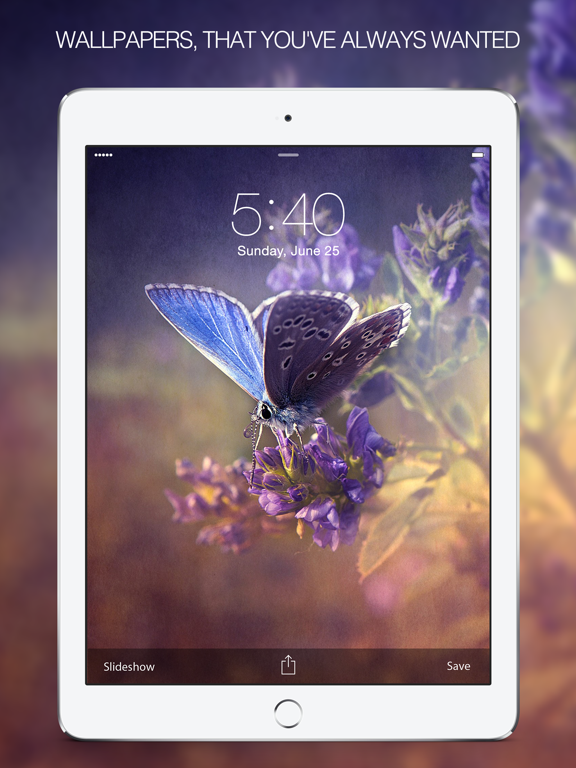 Screenshot #4 pour Butterfly Pictures & Butterfly Wallpapers Free