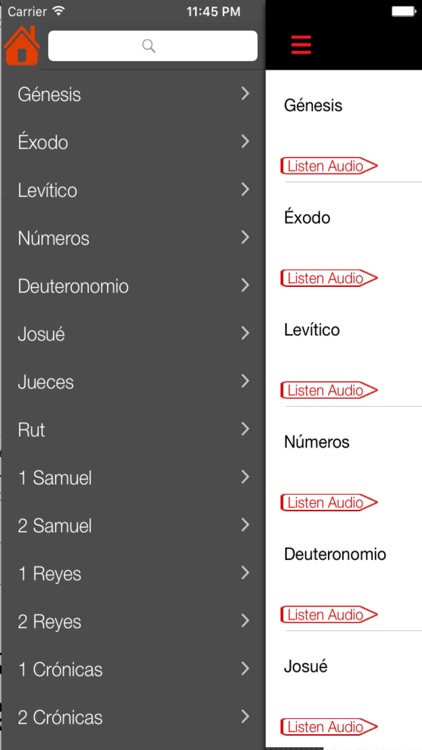 Biblia Reina Valera (Audio)
