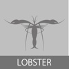 Lobster App