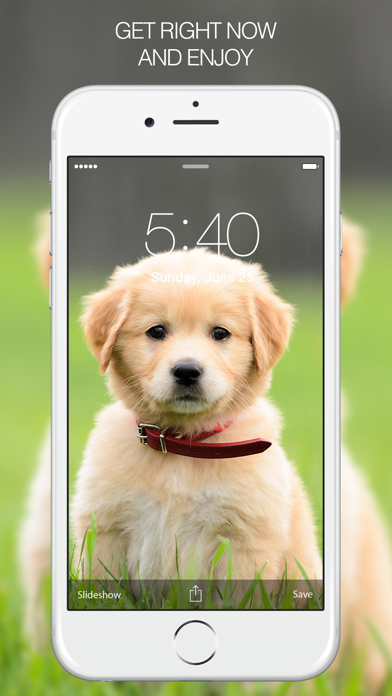 Cute Puppies Wallpapers & Backgrounds - Pretty Puppy Images Screenshot 5