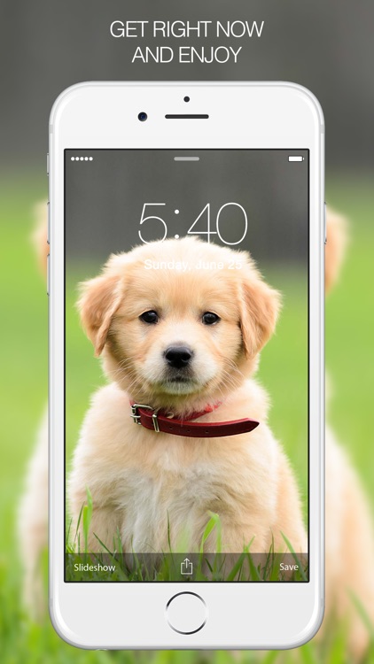 Puppy Wallpapers – Cute Puppy Pictures & Images screenshot-4