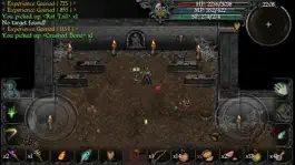 Game screenshot 9th Dawn II hack