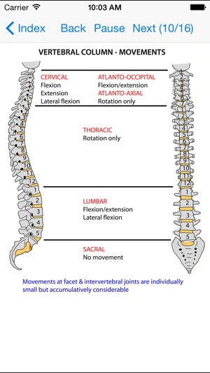 Anatomy Lectures Head and Neck(圖5)-速報App