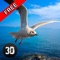 Seagull Bird Survival Simulator 3D