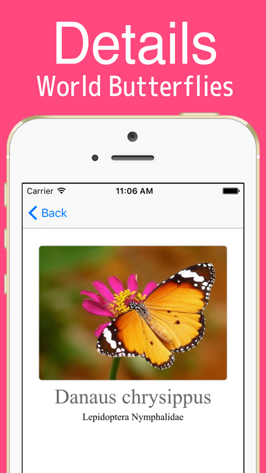 World Butterflies! - 1.0.1 - (iOS)