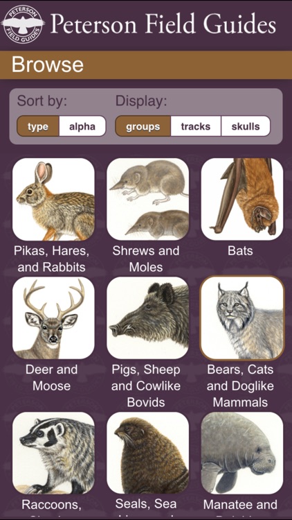 Peterson Field Guide to Mammals of North America