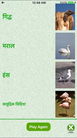 Game screenshot Flashcards Hindi Lesson hack
