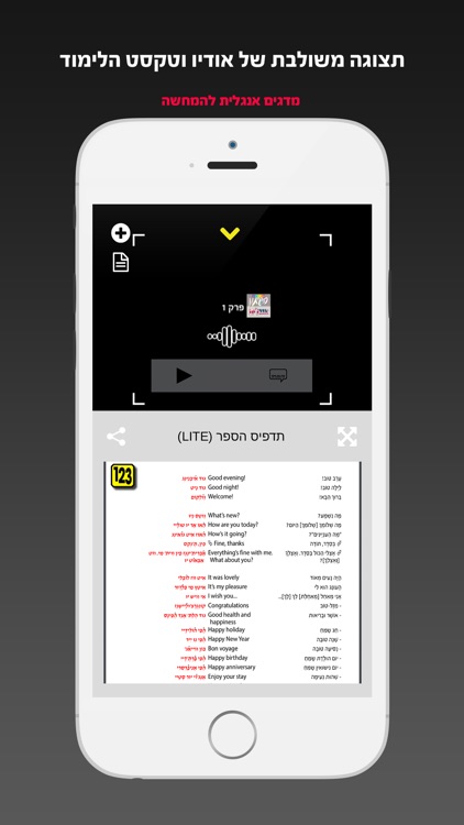 YIDDISH Phrase guide | שיחון יידיש | מלווה באודיו screenshot-4
