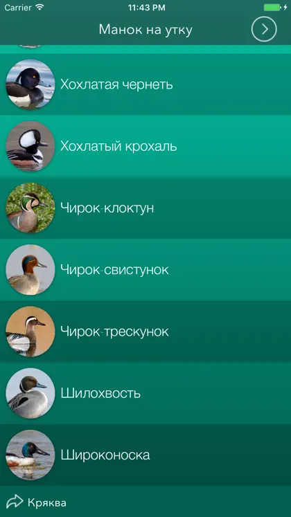 Screenshot 5 von 5 zu Охотничий манок на утку