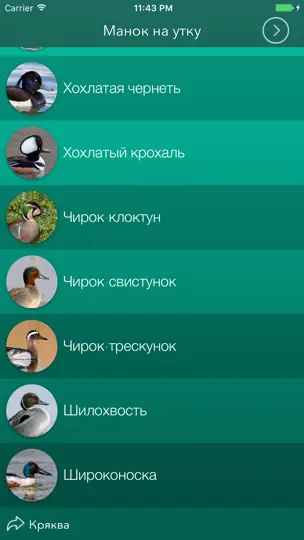 Скриншот Охотничий манок на утку на iPhone 5
