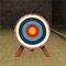 3D Bow and Arrow - Free Archery Games