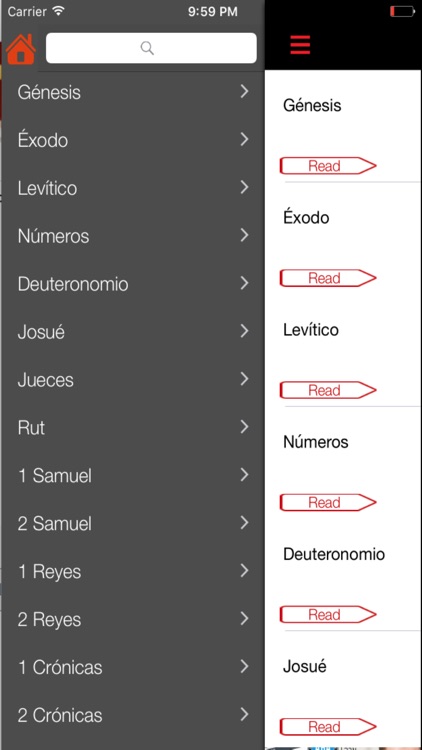 Biblia Lenguaje Actual screenshot-4