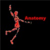 Anatomy Glossary- Cheatsheet with Study Guide