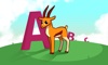 Animals Alphabet - Kids English