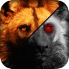 Wild 3D Hayena Simulator Attack & Hunt Game 2016 Wild 3D Hayena Simulator Attack & Hunt Game 2016