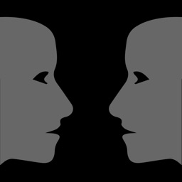 Beyond Small Talk: Insight