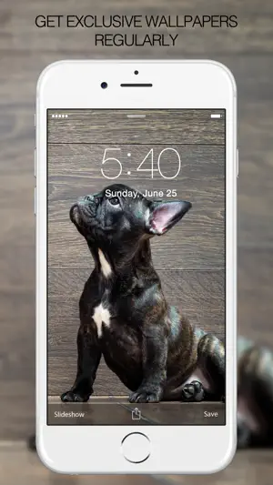 Puppy Wallpapers - Cute Puppy Pictures & Images screenshot 3