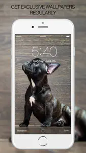 Puppy Wallpapers – Cute Puppy Pictures & Images screenshot #3 for iPhone