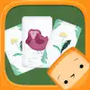 Pikkuli - Card Match Game App Feedback