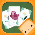 Pikkuli - Card Match Game App Contact