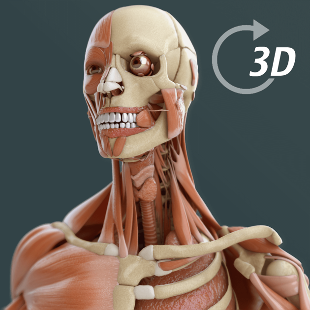 Visual Anatomy 3D | Human Trên Mac App Store