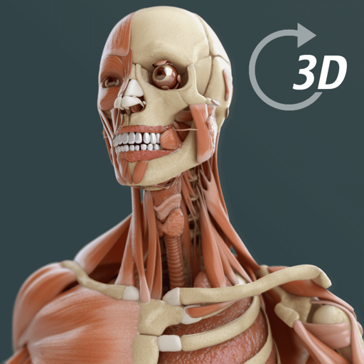 Visual Anatomy 3D | Human icon