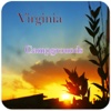 Virginia Campgrounds Travel Guide