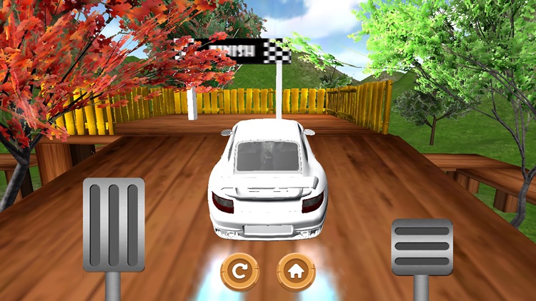 Car Platform Climb Race 3D screenshot-4
