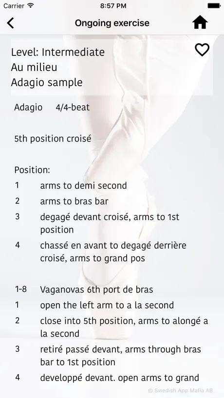Ballet Teacher Companion