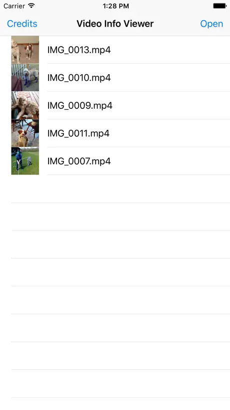 Video Info Viewer