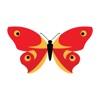 Color Butterfly Stickers for iMessage