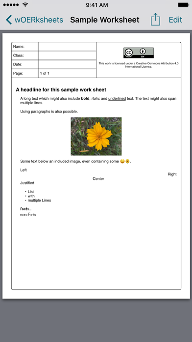 App preview