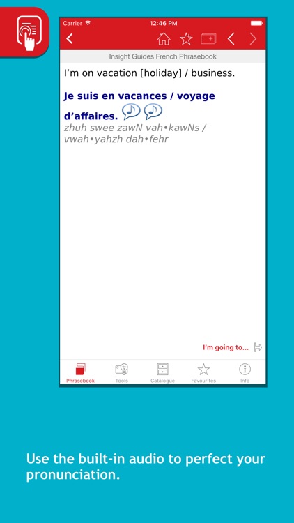 Insight Guides English Phrasebooks screenshot-4