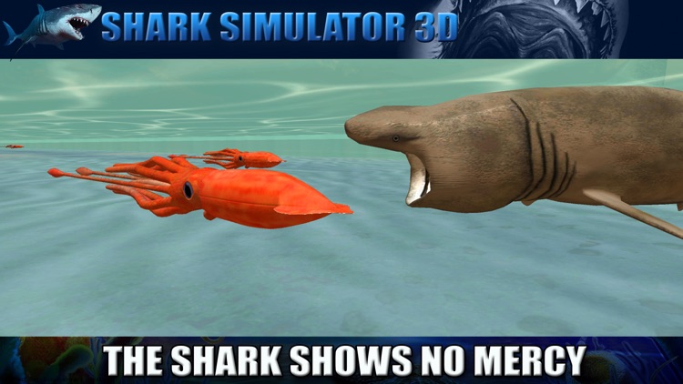 Shark Simulator 3D