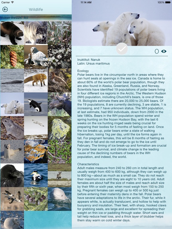 Churchill Travel iPad screenshot 3 - Travel app