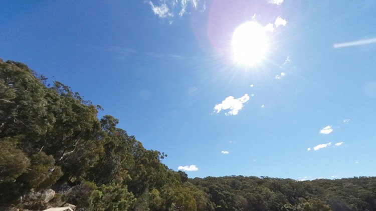 VR Bushwalk