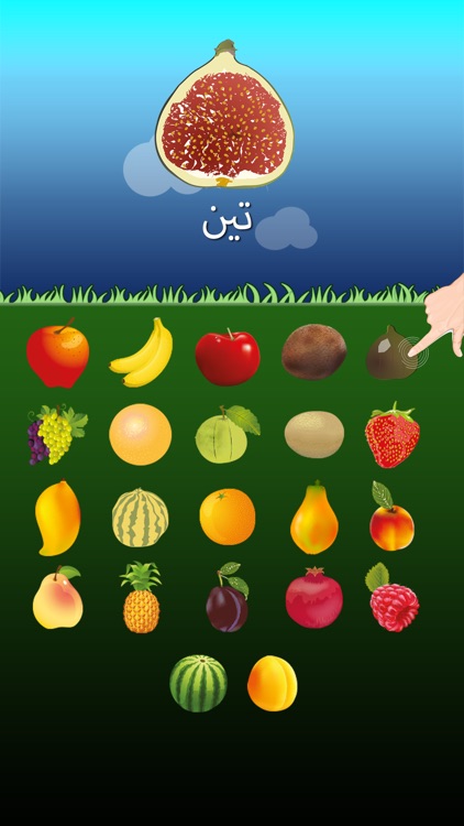 Arabic Fruits Go for Kids screenshot-3
