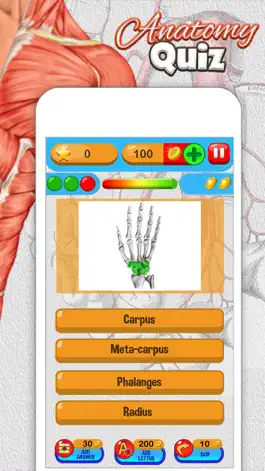 Game screenshot Anatomy Quiz - Science Pro Brain Education Game hack