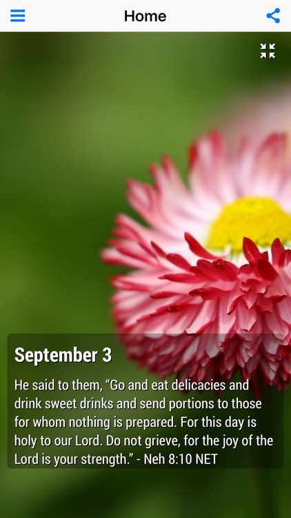 God's Comfort - Bible Devotional