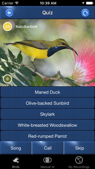 Bird Song Id Australiaのおすすめ画像5