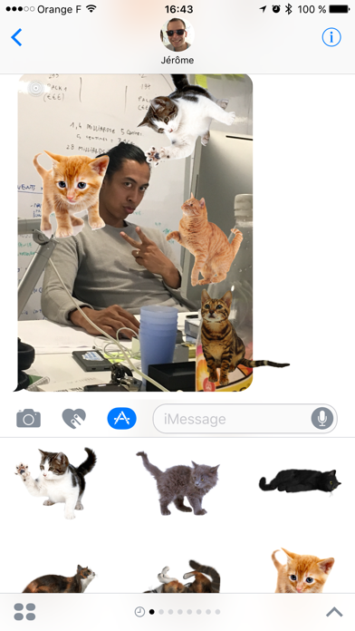 Cat Stickersのおすすめ画像2