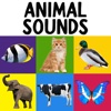 My First Words - Animals Sounds