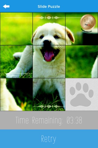 DogDays - Calendar with Dogs screenshot 3