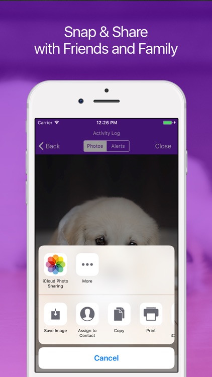Pet Monitor: Dog and Puppy Camera screenshot-3